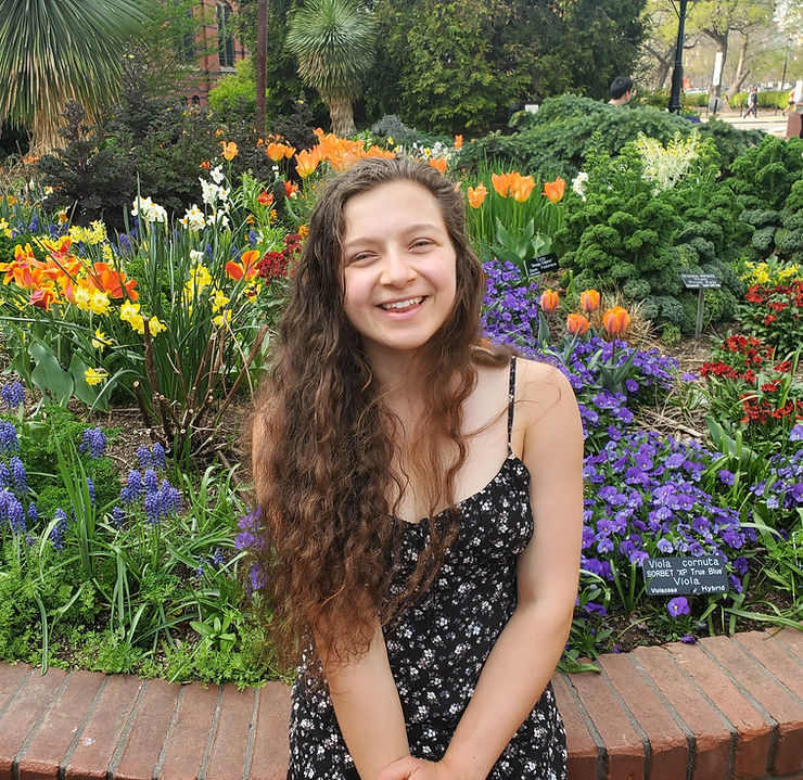 DC Area Startup Spotlight: Empowering Seniors with WISE Cities