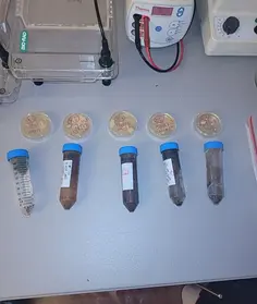 bece30_62164b29a63c4b88bd0a2fa68e54c125~mv2 (1)