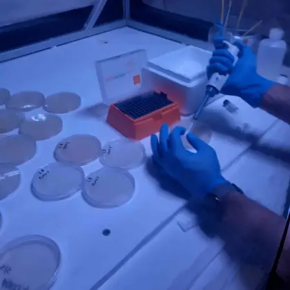 bece30_8884348d03a64a328b7da64049c9a7f5~mv2 (2)