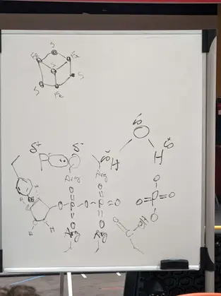 bece30_a3221e8b14134cefb28d47d92bbefaf9~mv2 (1)