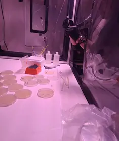 bece30_b1495e435d454220870e0a2cdb75ffa0~mv2 (1)