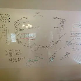 bece30_e16c2d637ef5495f8bcce55e63a0bef3~mv2