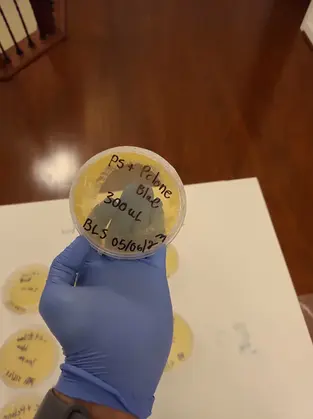 bece30_fc6e37f449564946bce61416c2646714~mv2